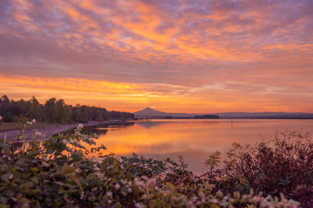 istock Pastel sunrise colors with sky reflections and mountain over water 1767605552