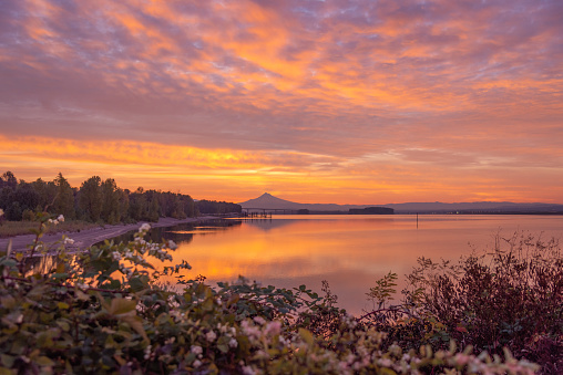 Mt Hood and the Columbia River during very colorful sunrise