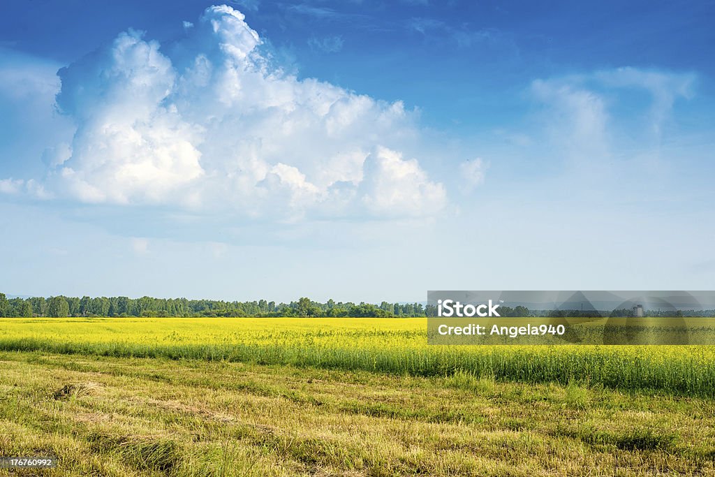 Ruhigen, ländlichen Landschaft - Lizenzfrei Agrarbetrieb Stock-Foto