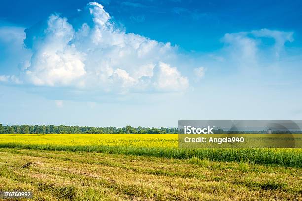 Pacífica Paisagem Rural - Fotografias de stock e mais imagens de Agricultura - Agricultura, Aldeia, Arrumado