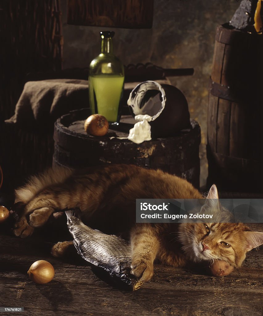 Gato vermelho, peixe seco e creme azedo - Foto de stock de Adega - Característica arquitetônica royalty-free