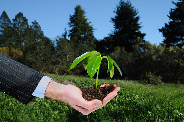 istock Handful of Plant 176762919
