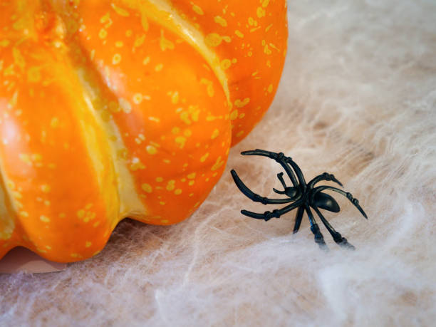 istock Halloween pumpkin and spider decoration close-up 1767632472