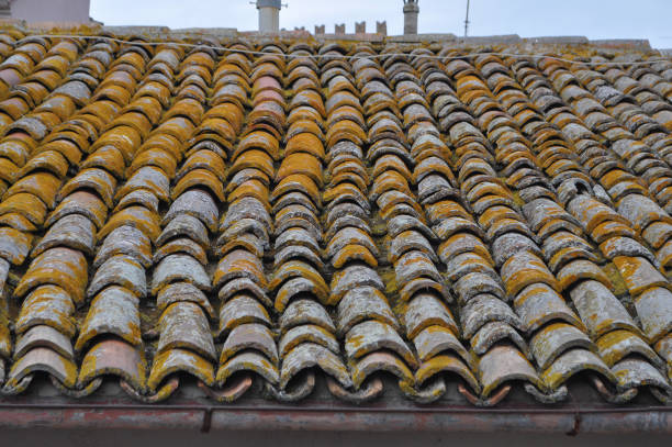 Roofs in a village in the Provence, France.