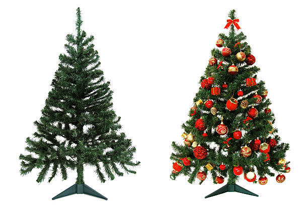 Before and after - Christmas tree stock photo