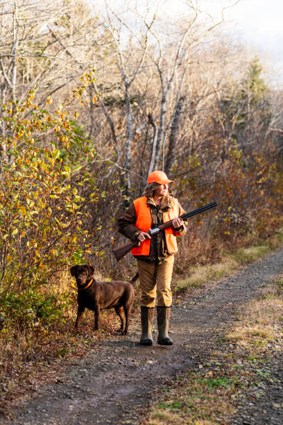 istock A beautiful day for an autumn hunt 1767643490