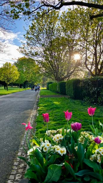 istock Flowers in the Park 1767644067