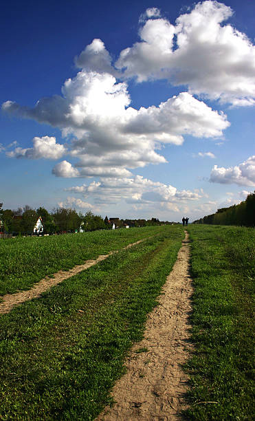 Cтоковое фото дорога