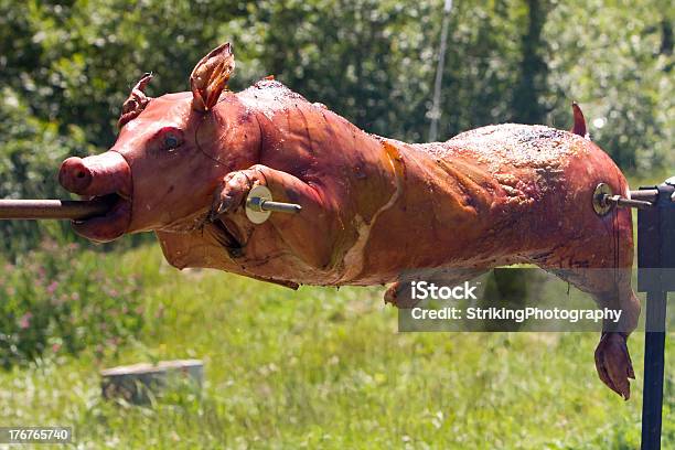 Whole Roasted Pig Stock Photo - Download Image Now - Animal, Animal Body Part, Animal Head