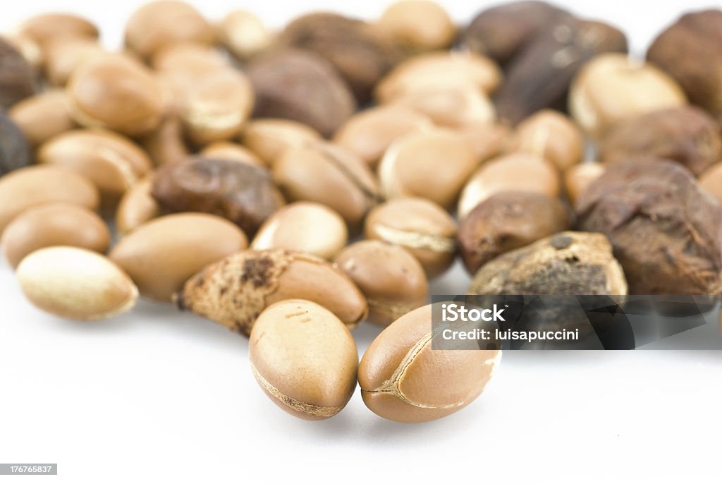 Frutti di Argan - Foto stock royalty-free di Albero di argan