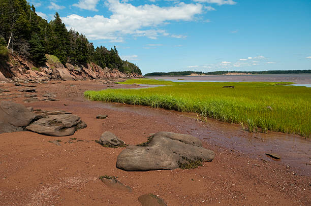 istock Bay of Fundy Shoreline 176766088