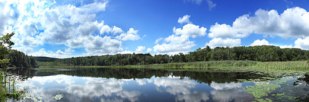Panoramic pond stock photo