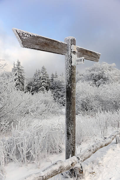 istock Blank signpost in winter landscape 176768507