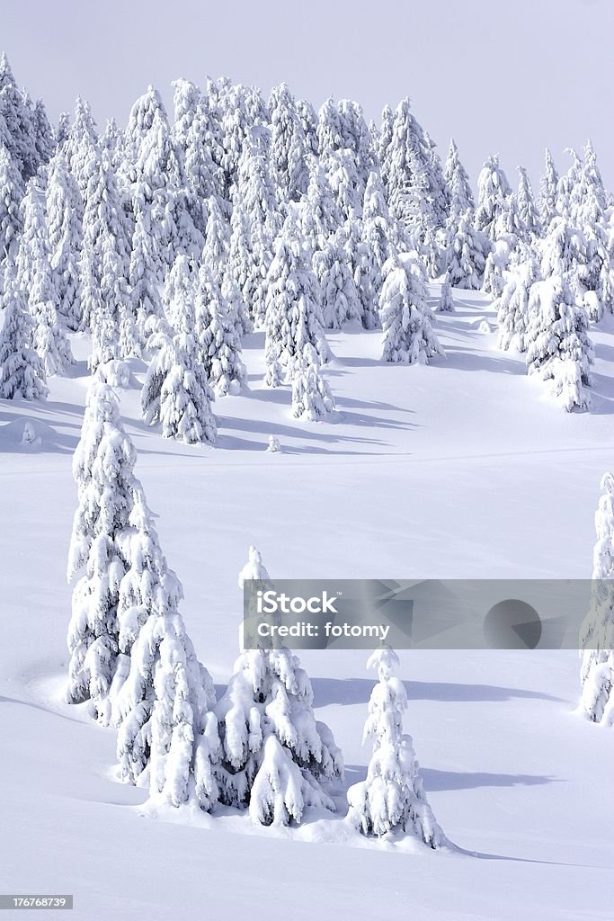 Paysage de montagne d'hiver - Photo de Alpes européennes libre de droits