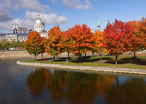 istock Autumn in Montreal, Bonsecours Basin 176769057