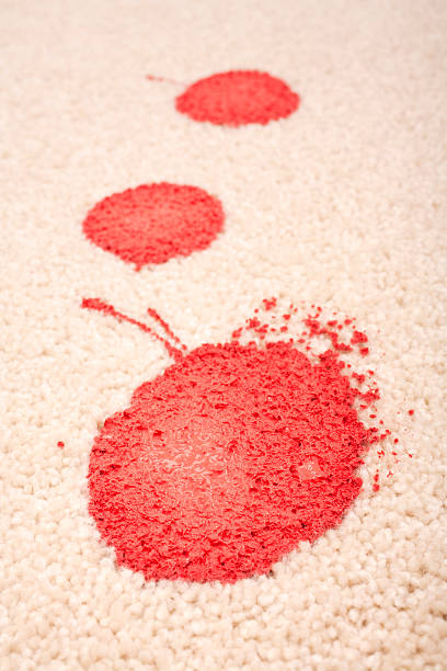 istock Paint Stain Stained Carpet Accident Insurance Claim 176769188
