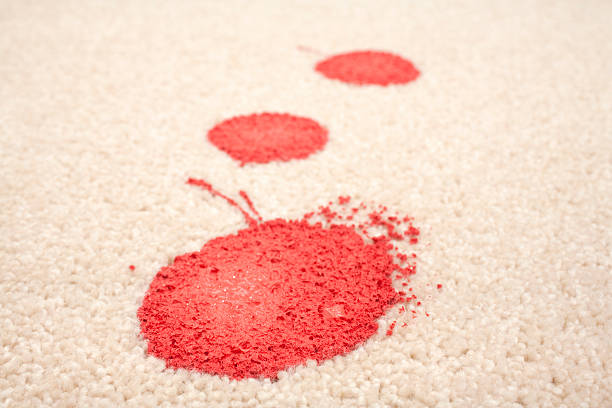 istock Paint Stain Stained Carpet Accident Insurance Claim 176769189
