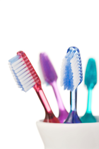 Close-up of four toothbrushes in holder against white background.