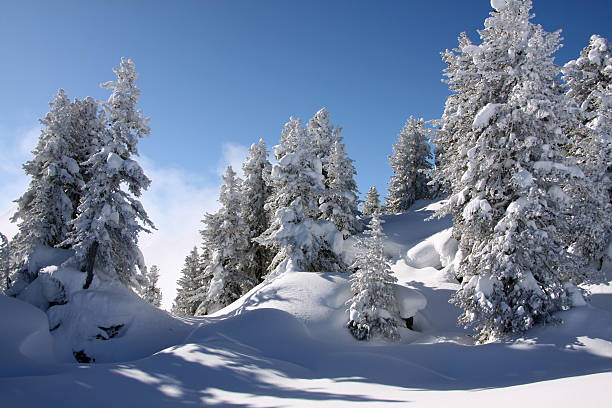 paesaggio coperto con neve al sole - schneelandschaft foto e immagini stock