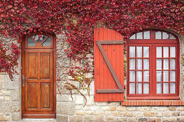 istock autumn red vine on house 176769312