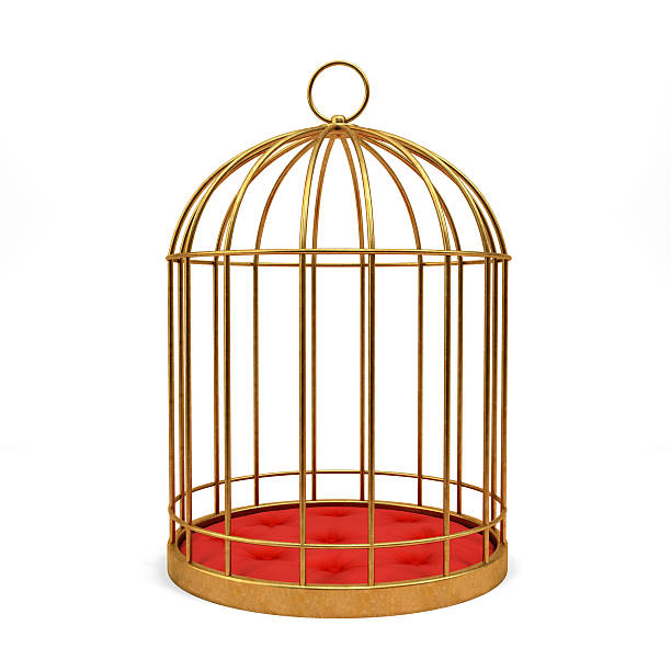 istock Golden cage isolated on white background 176769572