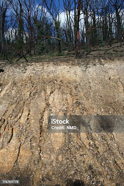 Soil Erosion After A Bushfire Stock Photo - Download Image Now - Ash, Backgrounds, Dirt