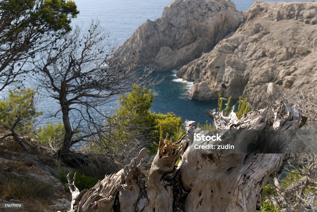 mallorca - Foto de stock de Agua libre de derechos