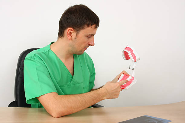 Dentist showing a big reproduction model of teeth stock photo