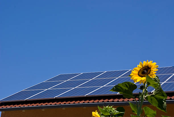 solaranlage mit sonnenblume - hausdach fotografías e imágenes de stock