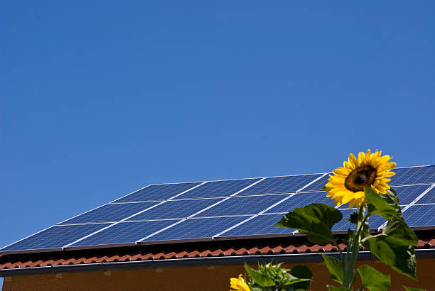 solaranlage mit sonnenblume - hausdach imagens e fotografias de stock