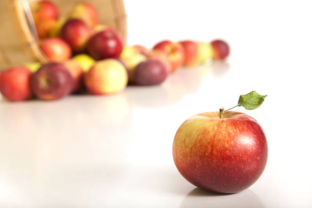 Single Apple Separated from Bushel stock photo