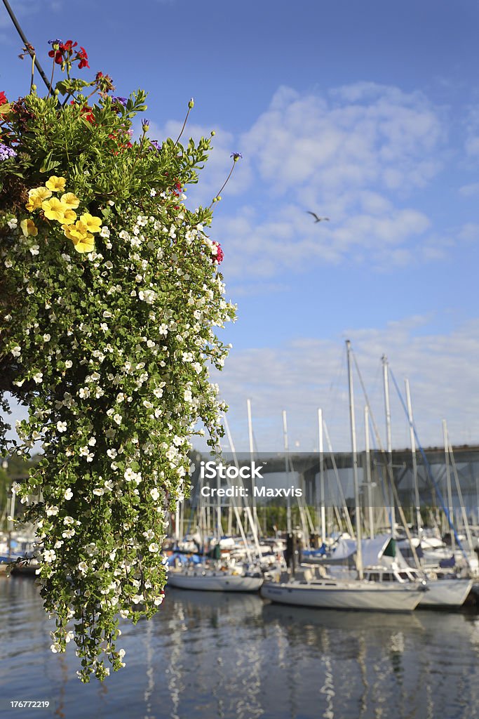 Granville Island fiore cestello, Vancouver - Foto stock royalty-free di Acqua