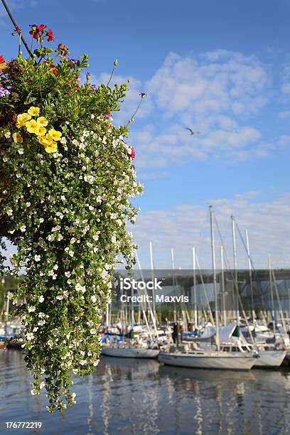 Granville Island Fiore Cestello Vancouver - Fotografie stock e altre immagini di Acqua - Acqua, Ambientazione esterna, Appartamento