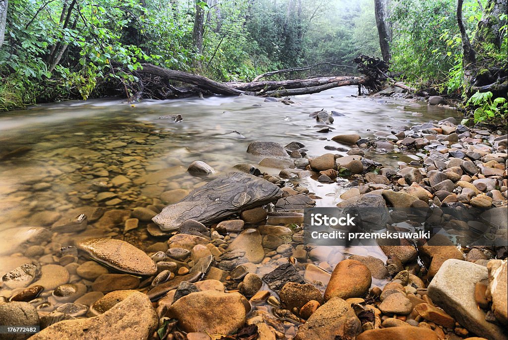 Сан-Bieszczady - Стоковые фото Без людей роялти-фри