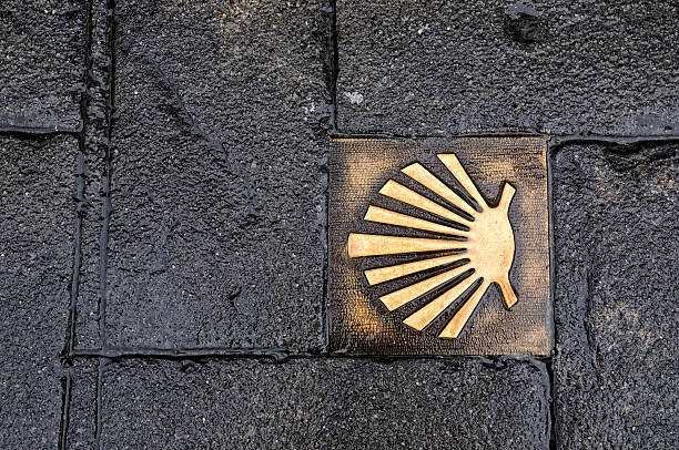 Shell in the Way of St James stock photo