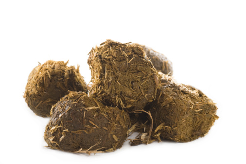 Heap of horse dung with hay straws on white background.