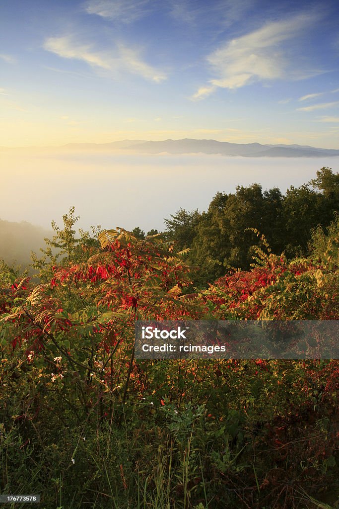 smokies outono ao nascer do sol - Foto de stock de Outono royalty-free