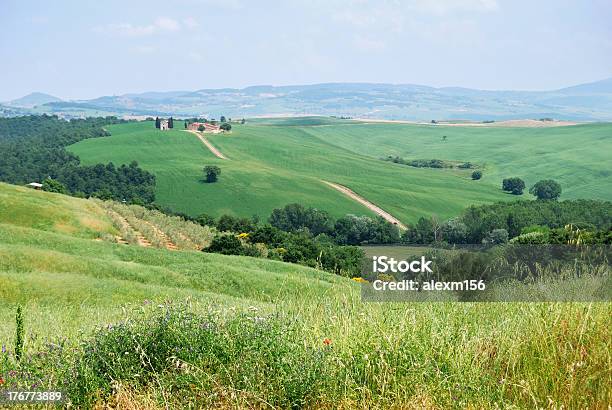 Toscana Foto de stock y más banco de imágenes de Arquitectura exterior - Arquitectura exterior, Bosque, Casa