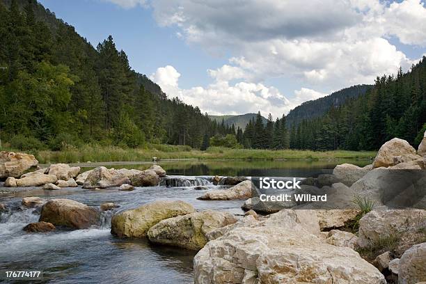 Trucha Corriente De Black Hills Foto de stock y más banco de imágenes de Colinas Negras - Colinas Negras, Dakota del Sur, Agua