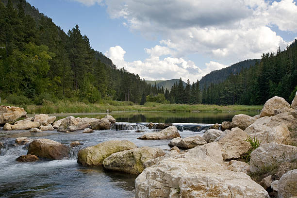 Trout stream in the Black Hills "Trout stream and pond in Spearfish Canyon, Black HillsMore Black Hills images:" black hills photos stock pictures, royalty-free photos & images
