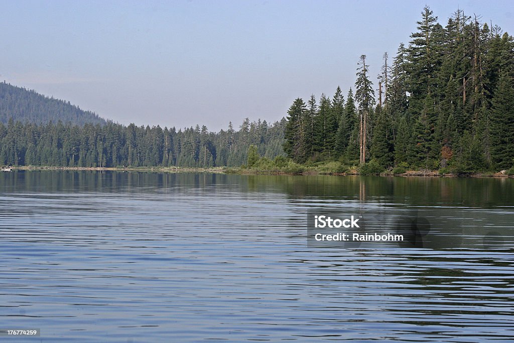 lake in the woods Backgrounds Stock Photo
