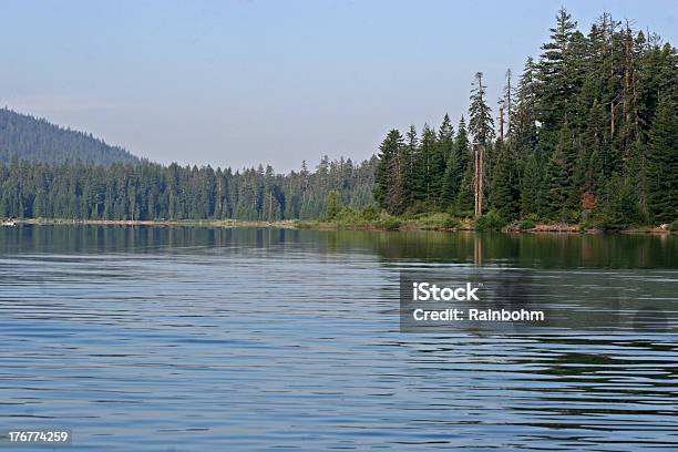 Lake In The Woods Stock Photo - Download Image Now - Backgrounds, Blue, Fir Tree