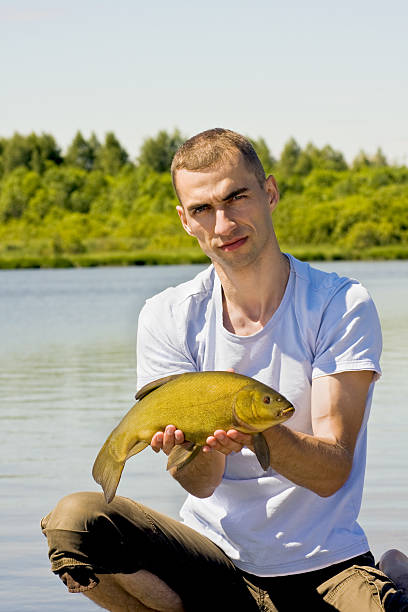 fishing with a fish tench  golden tench stock pictures, royalty-free photos & images