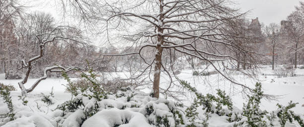 istock Central Park in winter ,heavy snow 1767753815