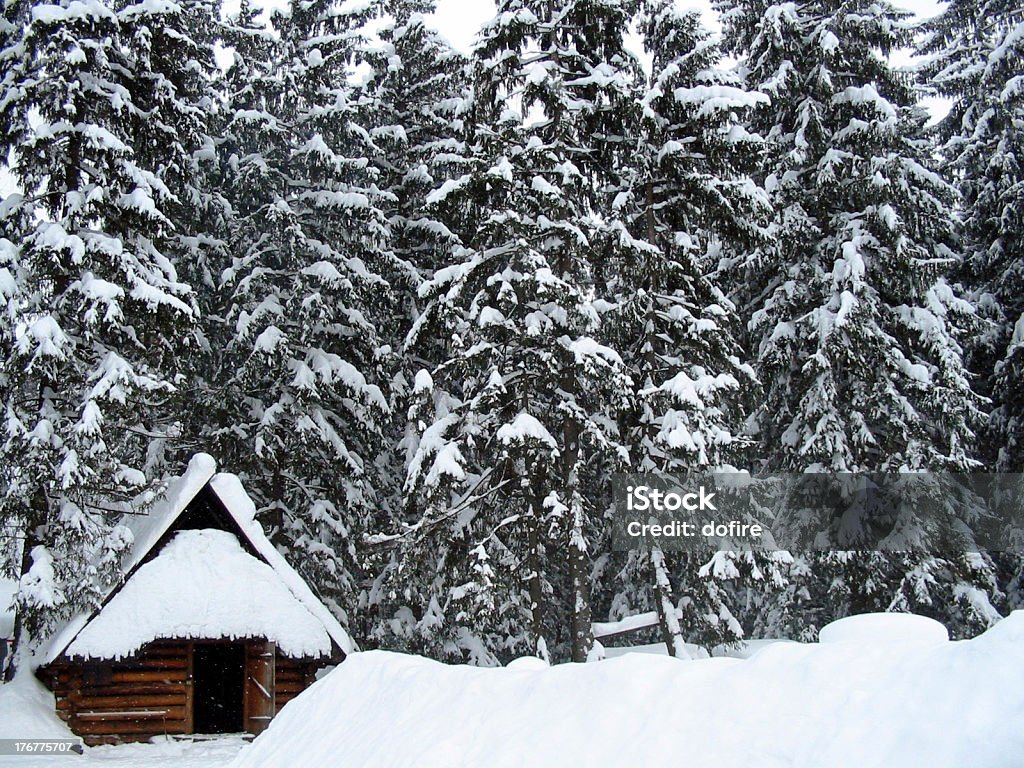 Casa da neve - Foto stock royalty-free di Albero