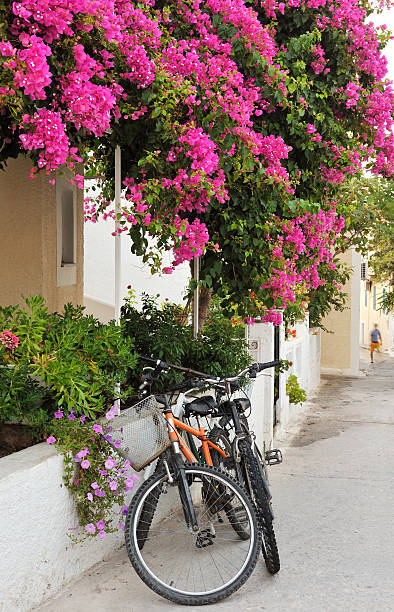 istock Greek island village alley 176776175