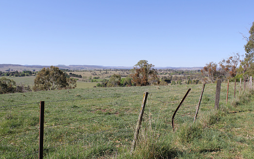 Landscape view of a fence, trees, grass and fields from Martins Lookout in Glen Innes, New South Wales, Australia