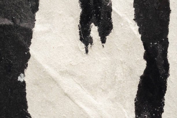 istock Old grunge ripped torn black paper poster surface texture background 1767766711