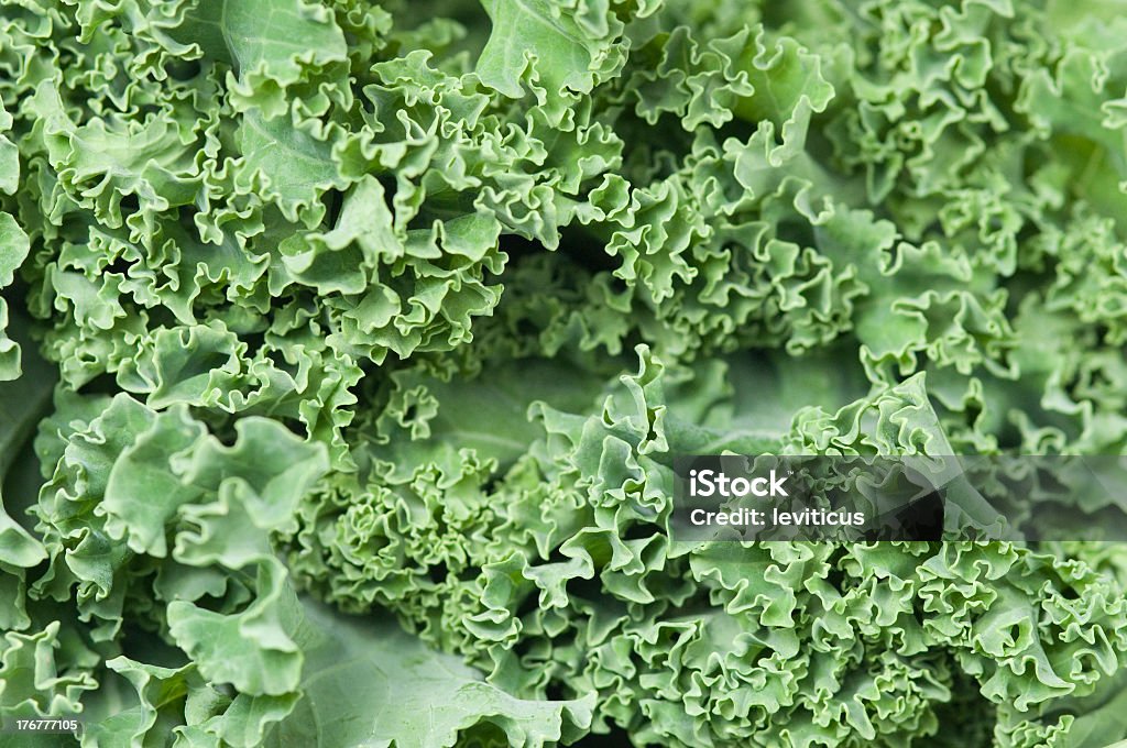 Kale background Kale is a form of cabbage part of the Brassica oleracea Acephala Group Backgrounds Stock Photo