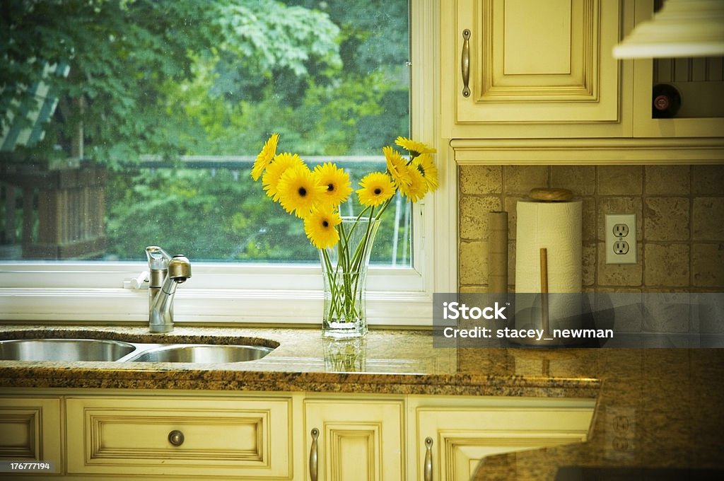 Elegante cozinha janela e Pia de país - Royalty-free Cozinha Foto de stock